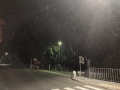 230226桃山陵付近で本降りの雪