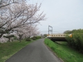 230325木津川右岸の桜と近鉄