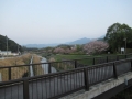 230408和邇川と和邇公園の桜