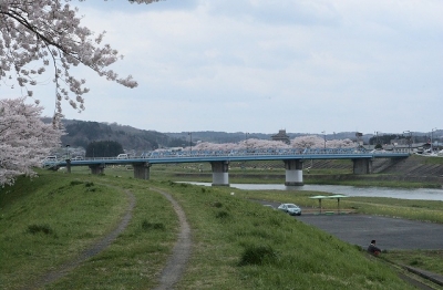 2010sakura0024.jpg