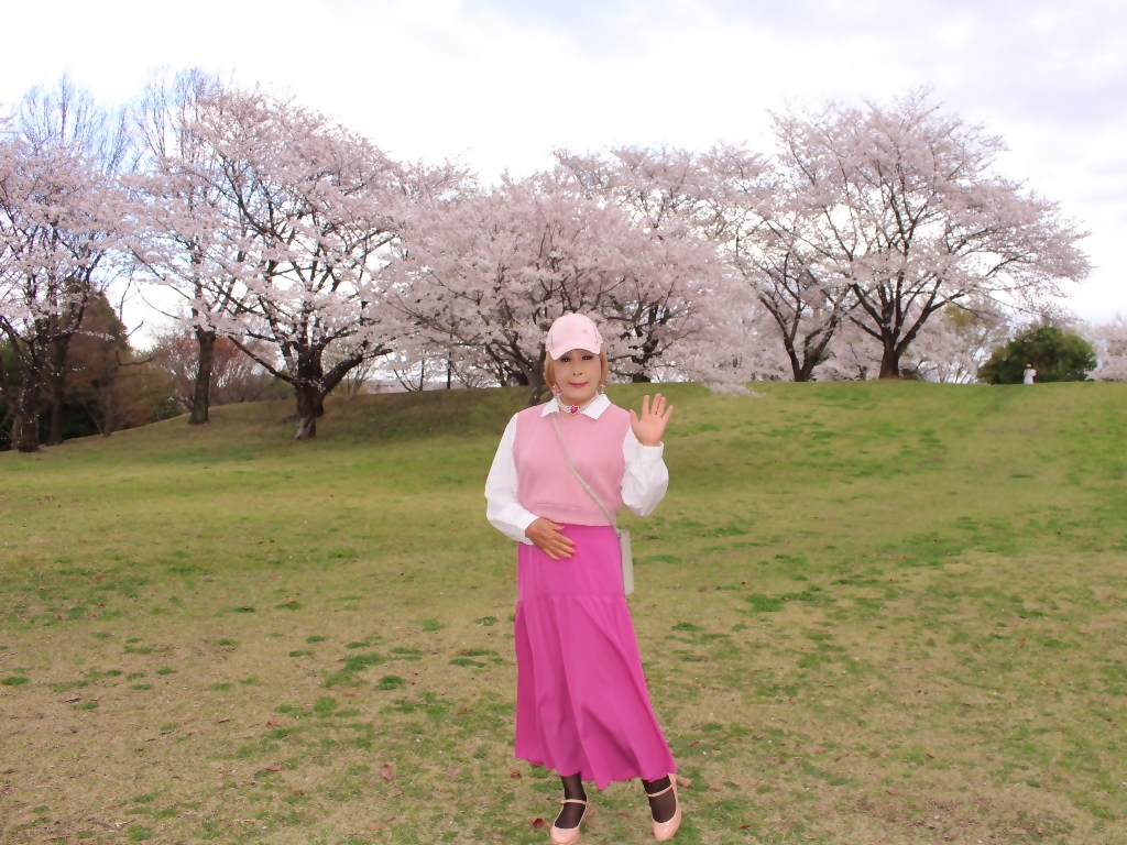 胸ピンクトップピンクマキシスカート桜背景A(1)