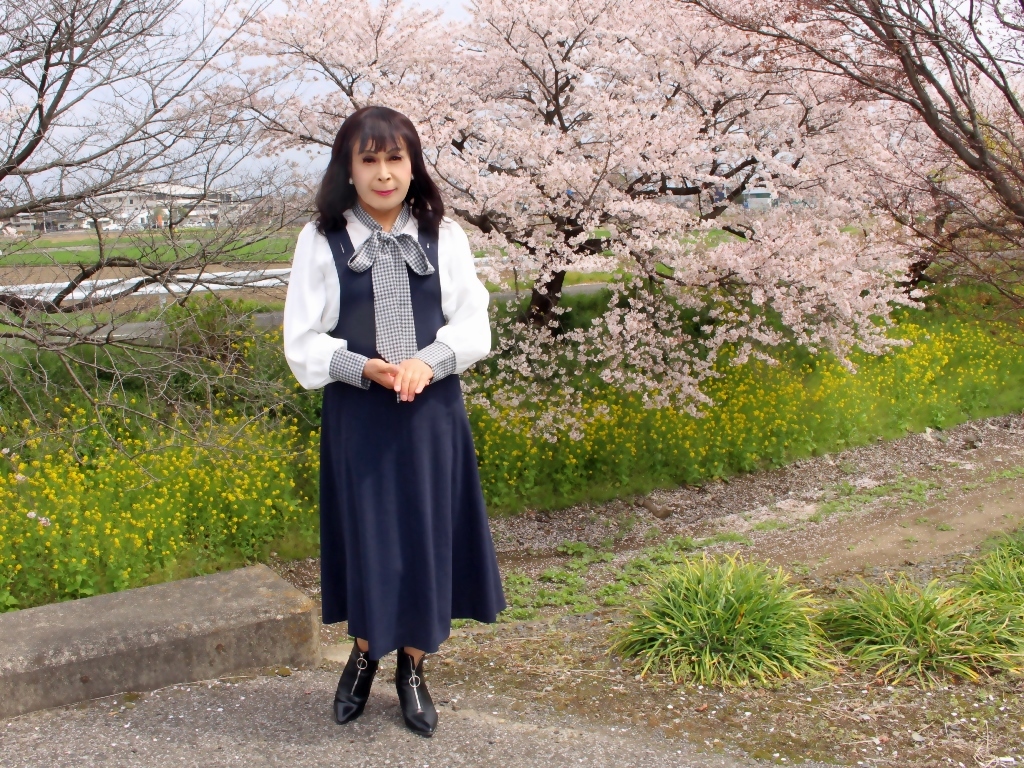 リボンブラウス紺ジャンパースカート桜B(5)