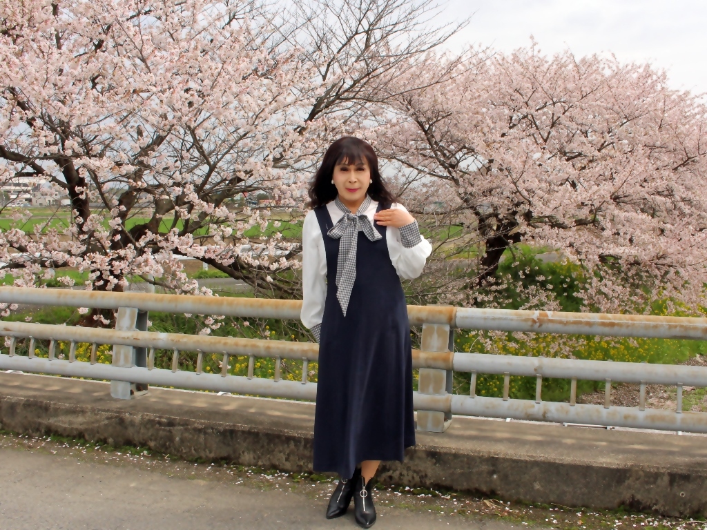 リボンブラウス紺ジャンパースカート桜B(7)
