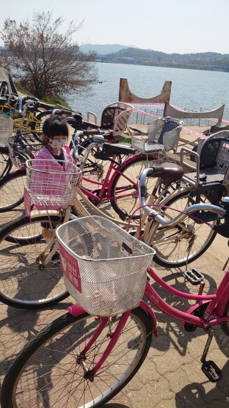 ハンガン,漢江,自転車,レンタサイクル (1)