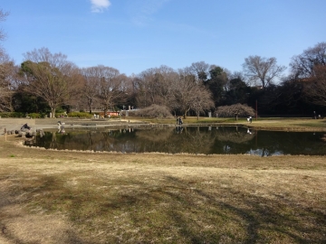 緑地公園、２月の風景