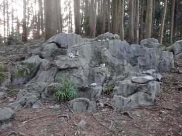 石灰岩の露頭