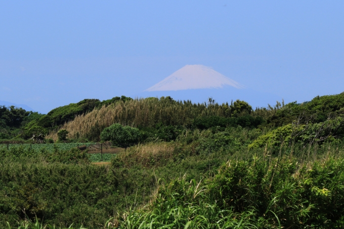 07微かな富士山2023