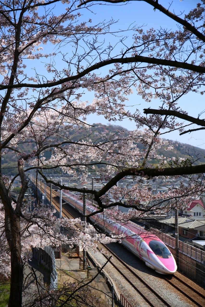 立岡山トンネル (10) (853x1280)