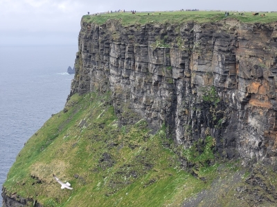 cliffsofmoher3004234