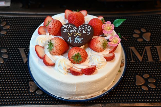 DSC_1638いちごケーキ