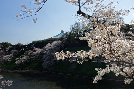 写真展「子どもたちの戦中・戦後」桜の開花