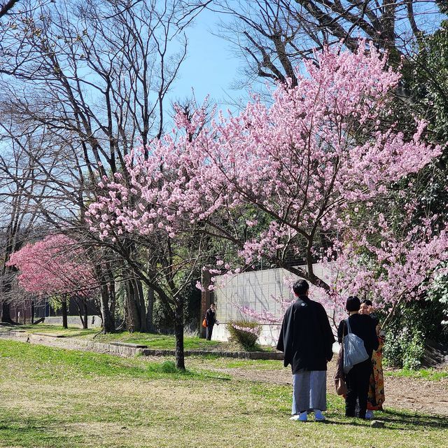 桜５_2203_27