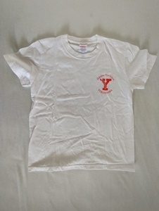 ノベルティ：小児用Tシャツ １７年春 (2)