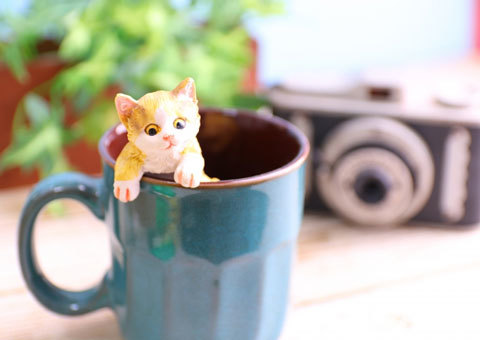 猫カフェのマグカップとカメラ