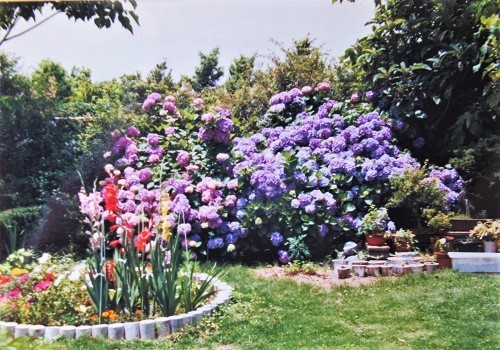 昔の庭１